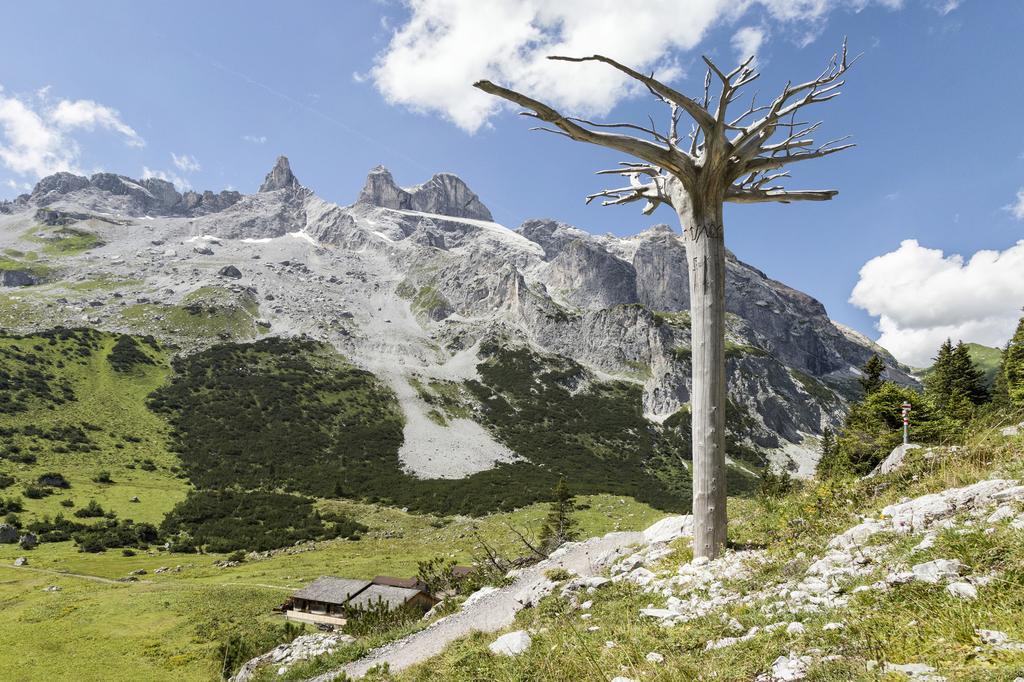 Berg-Spa & Hotel Zamangspitze Sankt Gallenkirch Ngoại thất bức ảnh